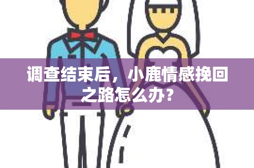 调查结束后，小鹿情感挽回之路怎么办？