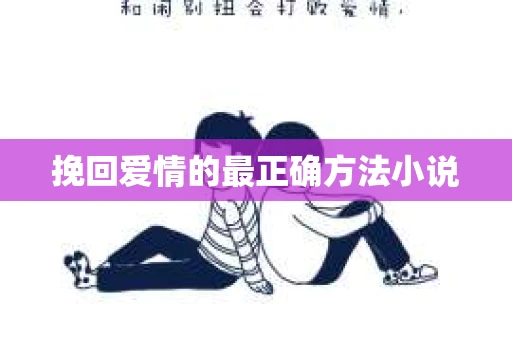 挽回爱情的最正确方法小说