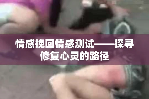情感挽回情感测试——探寻修复心灵的路径