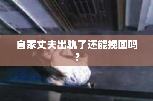 自家丈夫出轨了还能挽回吗？