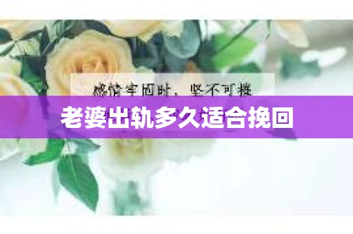 老婆出轨多久适合挽回