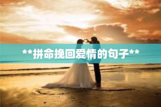 **拼命挽回爱情的句子**