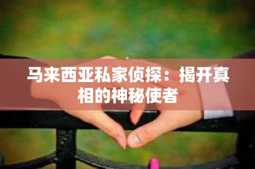马来西亚私家侦探：揭开真相的神秘使者