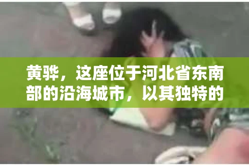 黄骅，这座位于河北省东南部的沿海城市，以其独特的地理位置和丰富的历史文化而闻名。然而，在这座城市中，还有一群人，他们以另一种方式默默守护着社会的公平与正义——私家侦探。今天，我们就来聊聊黄骅的私家侦探，看看他们是如何在这个城市中发挥作用的。