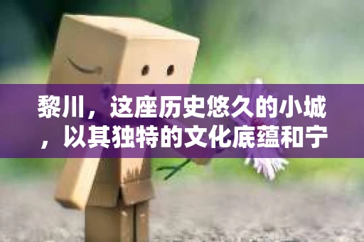 黎川，这座历史悠久的小城，以其独特的文化底蕴和宁静的生活节奏吸引着无数游客。然而，在这样一个看似平静的城市里，你是否会好奇，有没有私家侦探机构的存在呢？今天，就让我带你一探究竟。