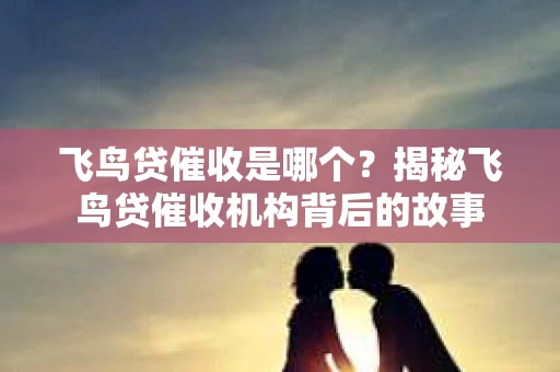 飞鸟贷催收是哪个？揭秘飞鸟贷催收机构背后的故事