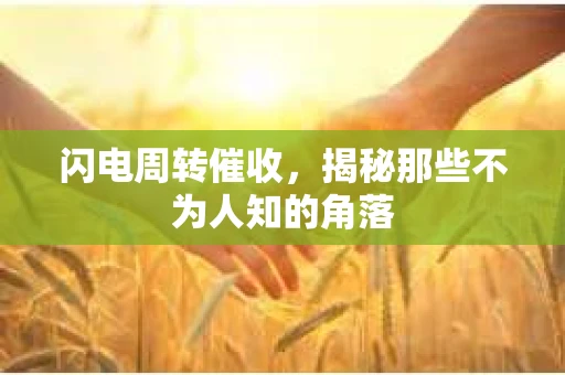 闪电周转催收，揭秘那些不为人知的角落