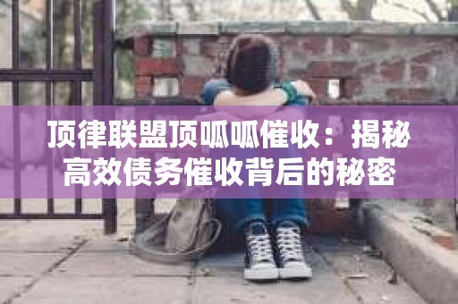 顶律联盟顶呱呱催收：揭秘高效债务催收背后的秘密