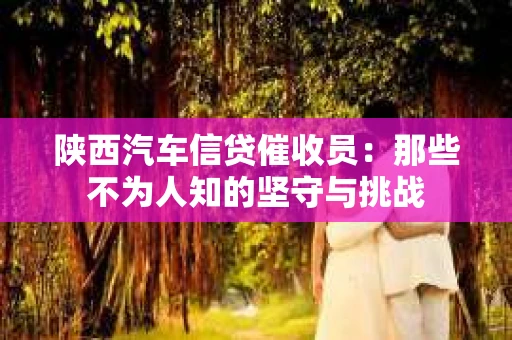 陕西汽车信贷催收员：那些不为人知的坚守与挑战