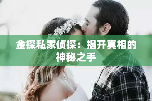 金探私家侦探：揭开真相的神秘之手