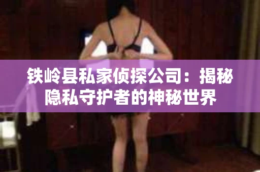 铁岭县私家侦探公司：揭秘隐私守护者的神秘世界