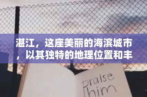 湛江，这座美丽的海滨城市，以其独特的地理位置和丰富的文化底蕴吸引着无数游客。然而，在繁忙的生活中，总有一些问题让人困扰，比如，当个人隐私或财产受到侵犯时，我们是否可以寻求私家侦探的帮助呢？那么，请问湛江有私家侦探吗？