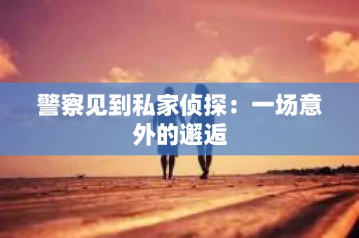 警察见到私家侦探：一场意外的邂逅