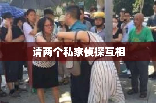 请两个私家侦探互相