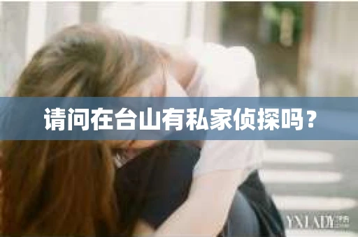 请问在台山有私家侦探吗？