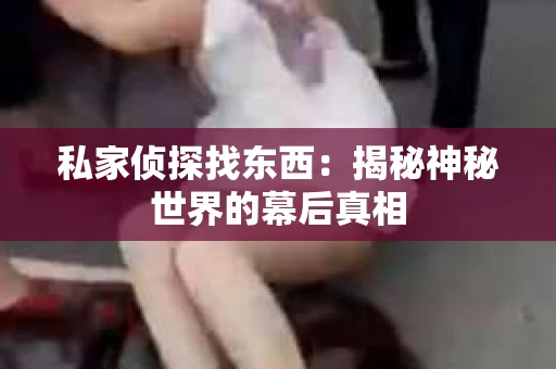 私家侦探找东西：揭秘神秘世界的幕后真相
