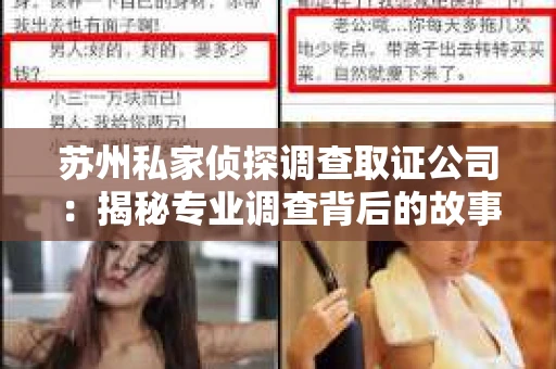 苏州私家侦探调查取证公司：揭秘专业调查背后的故事