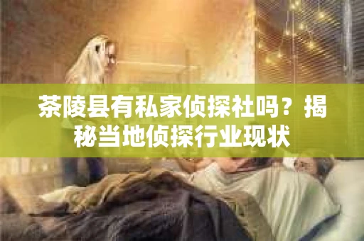 茶陵县有私家侦探社吗？揭秘当地侦探行业现状