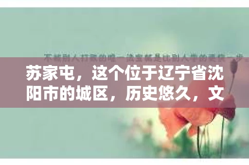 苏家屯，这个位于辽宁省沈阳市的城区，历史悠久，文化底蕴深厚。近年来，随着社会的发展，人们对于私家侦探的需求也逐渐增加。那么，苏家屯有私家侦探吗？今天，我们就来聊聊这个话题。