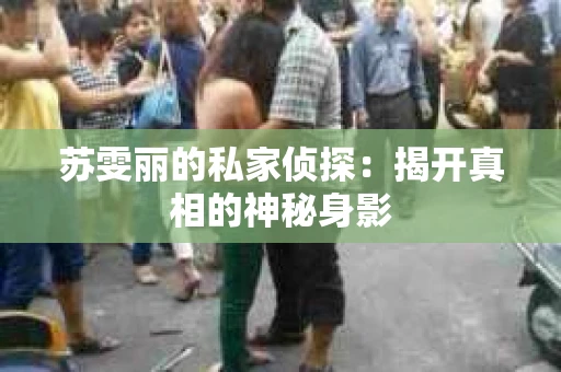 苏雯丽的私家侦探：揭开真相的神秘身影