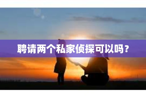 聘请两个私家侦探可以吗? 聘请两个私家侦探可以吗?