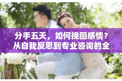 分手五天，如何挽回感情？从自我反思到专业咨询的全面解决方案