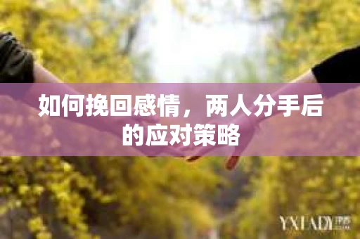 如何挽回感情，两人分手后的应对策略